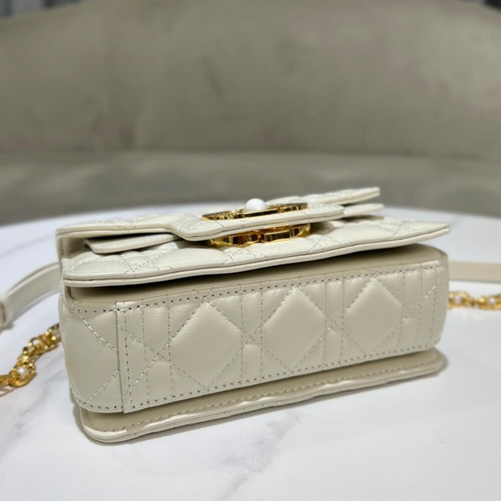small D*or jolie handbag